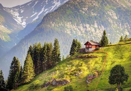 Chandigarh to Himachal Hill Beauty