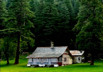 Chandigarh to Himachal Hill Beauty