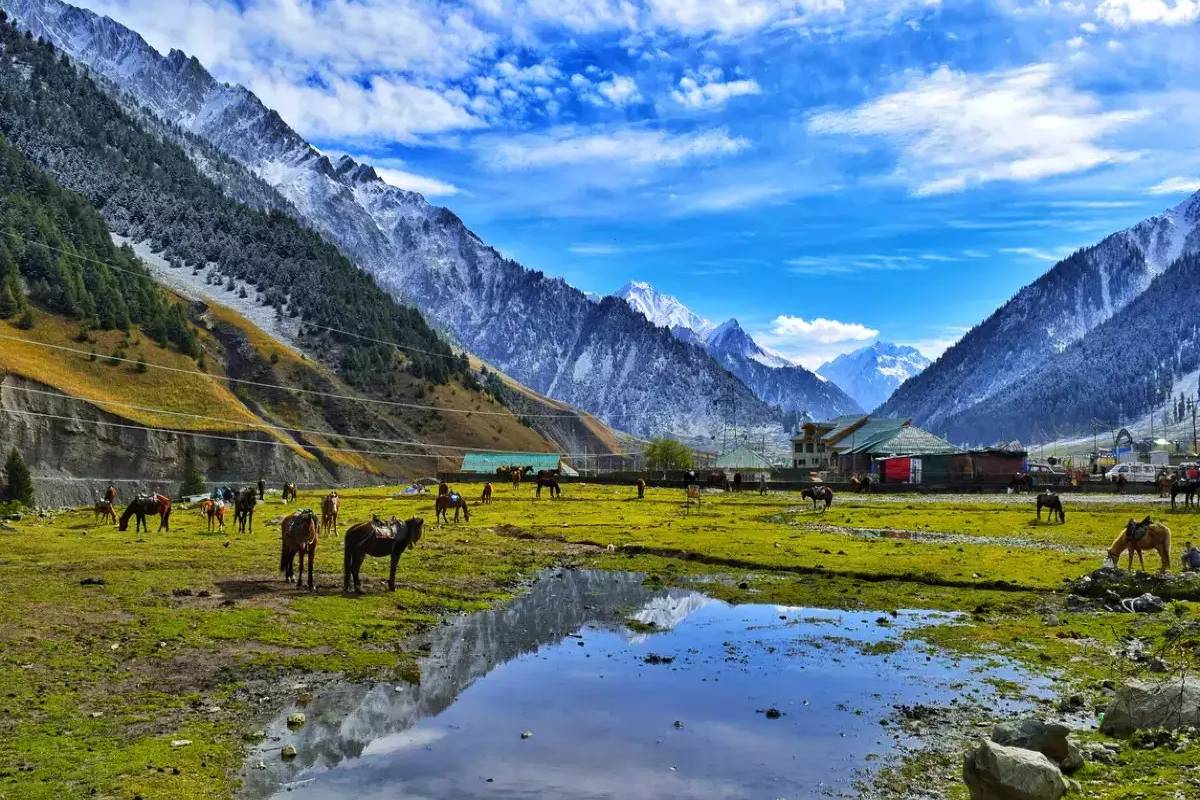 Amritsar to Kashmir & Vaishno Devi Yatra