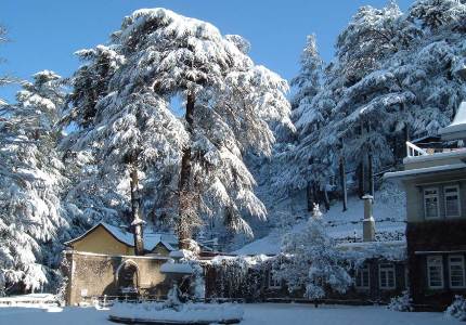 Taxi Hire from Shimla