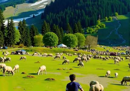 Kashmir Valley Drive from Chandigarh