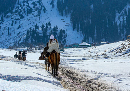 Jammu to Gulmarg & Srinagar Tour