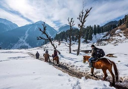 Amritsar to Kashmir & Vaishno Devi Yatra